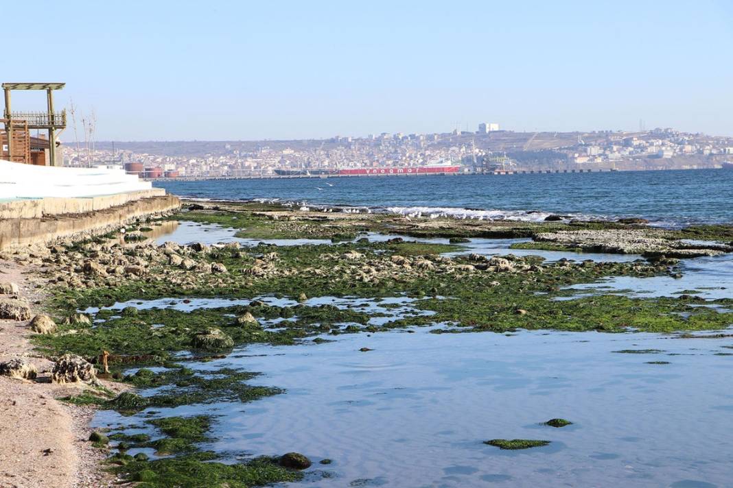 Marmara'da korkutan görüntü: Deniz 25 metre çekildi! Deprem habercisi mi? Uzmanı yanıtladı 14